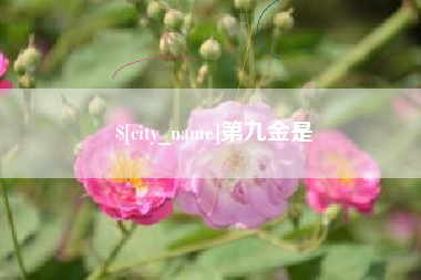 汉中第九金是