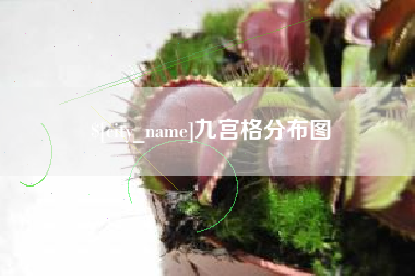 汉中九宫格分布图