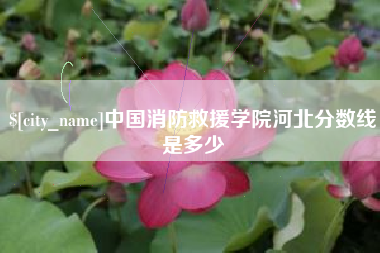 汉中中国消防救援学院河北分数线是多少