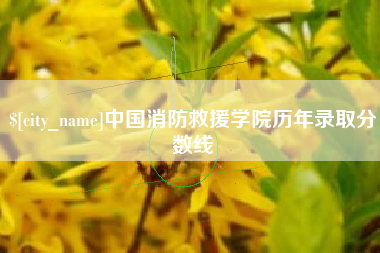 汉中中国消防救援学院历年录取分数线