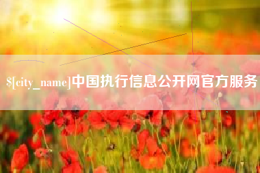 汉中中国执行信息公开网官方服务