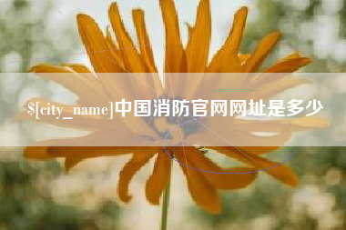汉中中国消防官网网址是多少