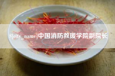汉中中国消防救援学院副院长