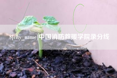 汉中中国消防救援学院录分线