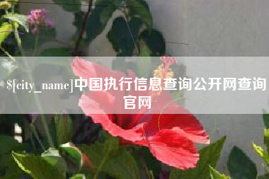汉中中国执行信息查询公开网查询官网