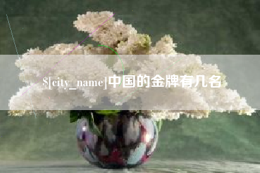 汉中中国的金牌有几名