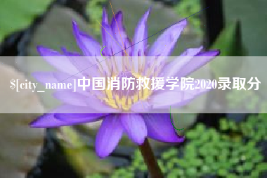 汉中中国消防救援学院2020录取分