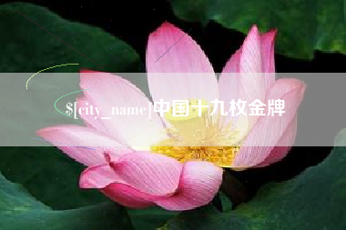 汉中中国十九枚金牌