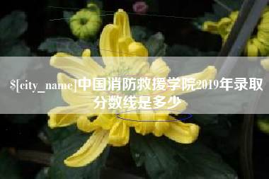 汉中中国消防救援学院2019年录取分数线是多少