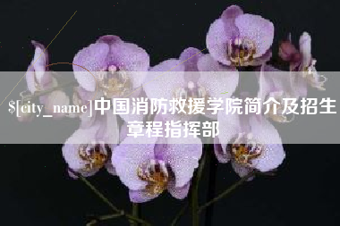 汉中中国消防救援学院简介及招生章程指挥部