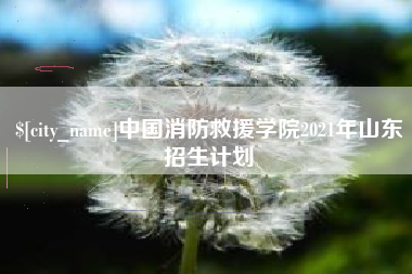 汉中中国消防救援学院2021年山东招生计划