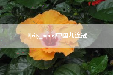 汉中中国九连冠