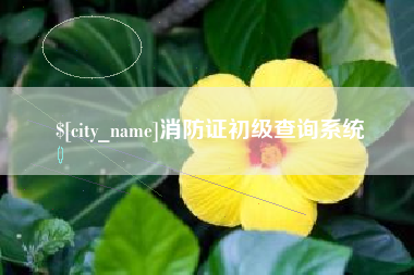 汉中消防证初级查询系统