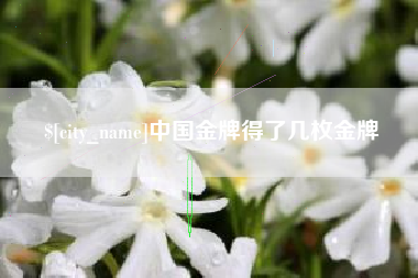 汉中中国金牌得了几枚金牌