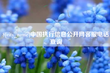 汉中中国执行信息公开网客服电话查询