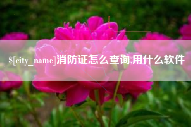 汉中消防证怎么查询,用什么软件