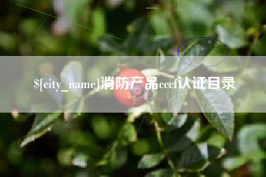 汉中消防产品cccf认证目录