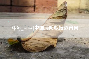 汉中中国消防救援教育网