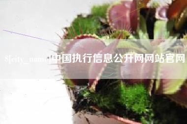 汉中中国执行信息公开网网站官网