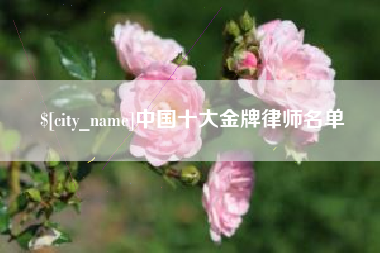 汉中中国十大金牌律师名单