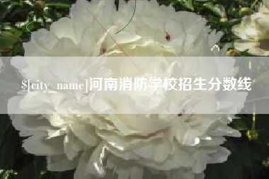 汉中河南消防学校招生分数线
