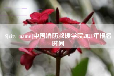 汉中中国消防救援学院2021年报名时间