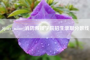 汉中消防救援学院招生录取分数线