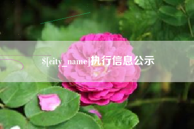 汉中执行信息公示