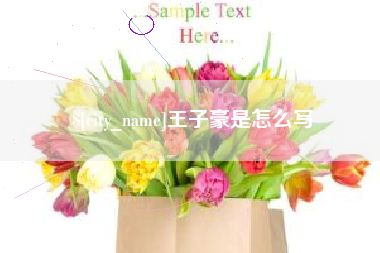 汉中王子豪是怎么写
