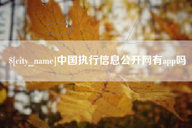 汉中中国执行信息公开网有app吗
