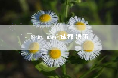 汉中成都 消防