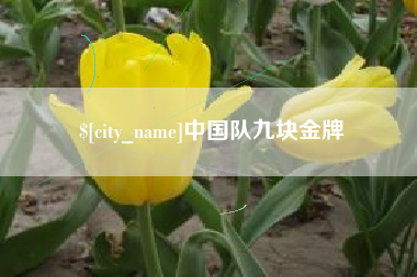 汉中中国队九块金牌