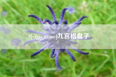 汉中九宫格盘子