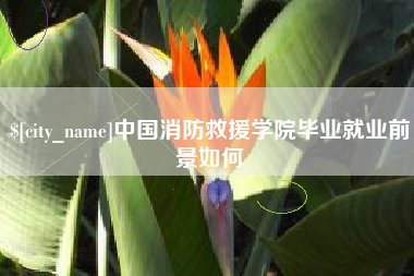 汉中中国消防救援学院毕业就业前景如何