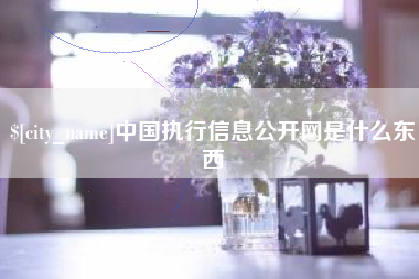 汉中中国执行信息公开网是什么东西