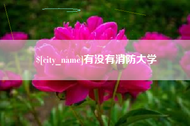 汉中有没有消防大学