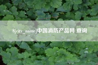 汉中中国消防产品网 查询