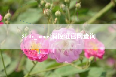 汉中消控证官网查询