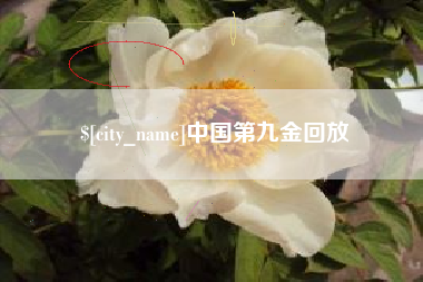 汉中中国第九金回放