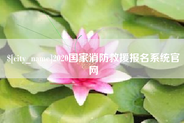 汉中2020国家消防救援报名系统官网