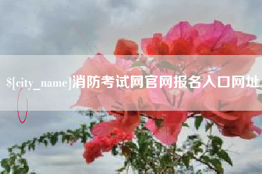 汉中消防考试网官网报名入口网址