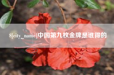 汉中中国第九枚金牌是谁得的