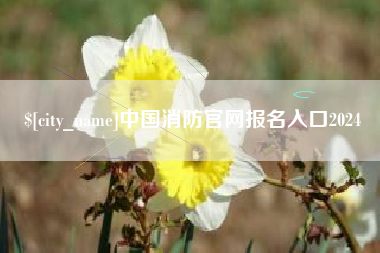 汉中中国消防官网报名入口2024