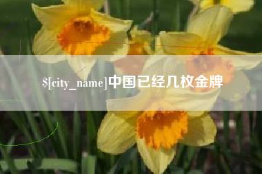 汉中中国已经几枚金牌