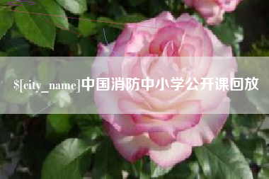 汉中中国消防中小学公开课回放