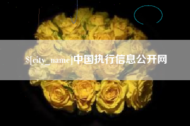 汉中中国执行信息公开网