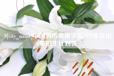 汉中中国消防救援学院2020年在山东招生计划表