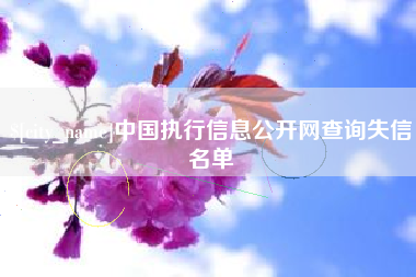 汉中中国执行信息公开网查询失信名单