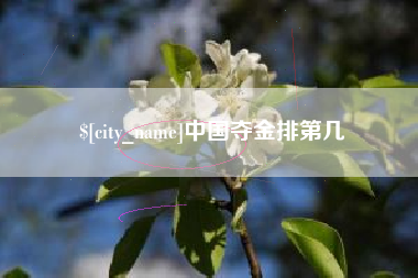 汉中中国夺金排第几