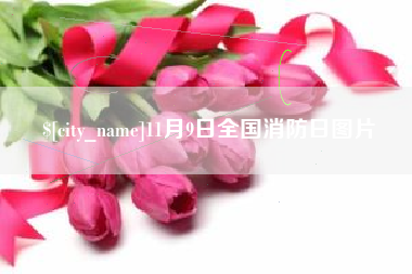 汉中11月9日全国消防日图片